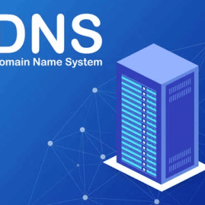 Domain DNS Settings