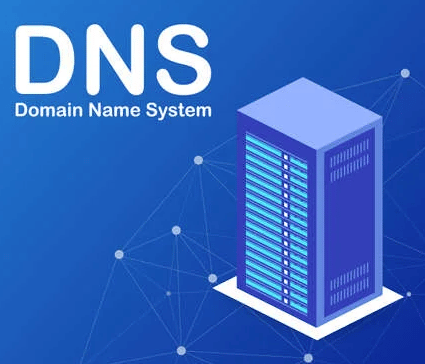 Domain DNS Settings