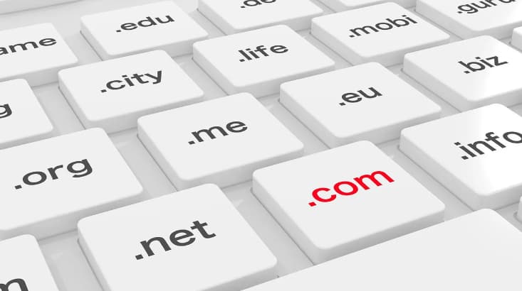 What are the 7 domain names