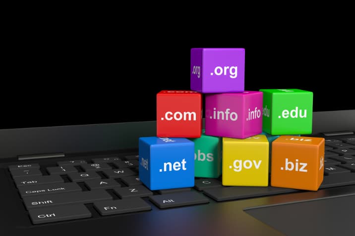 What are the top 5 domain names