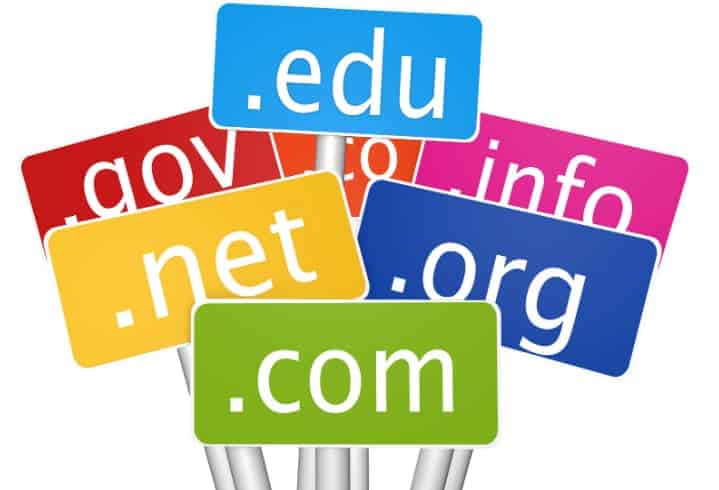 What are the top 5 domain names