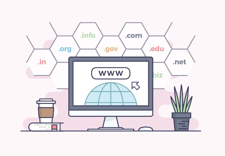 Which domain is popular